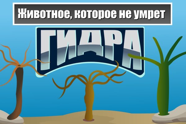 Kraken зеркало стор