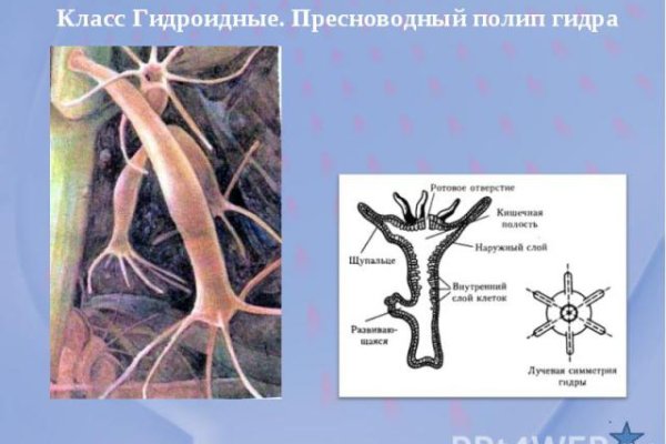 Как войти в даркнет