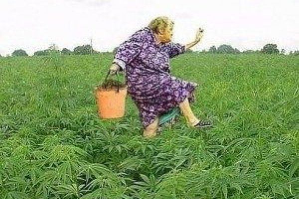 Что такое кракен сайт в россии
