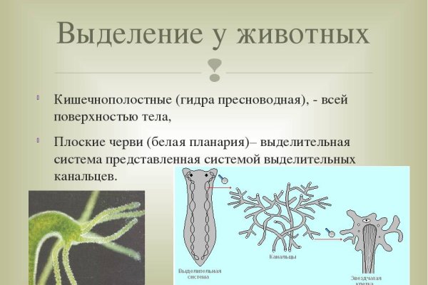 Ссылка на кракен официальный