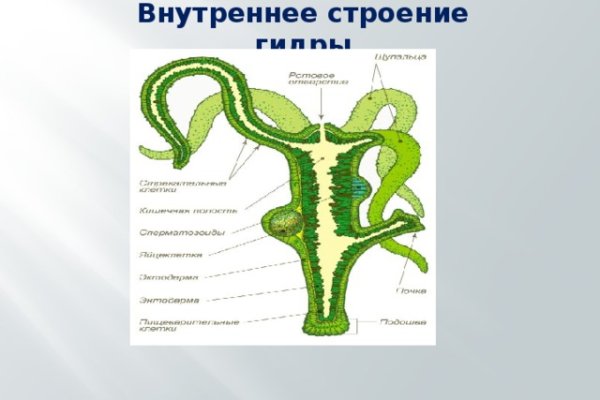 Кракен современный даркнет маркетплейс