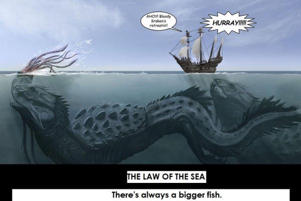 Kraken 13 at com