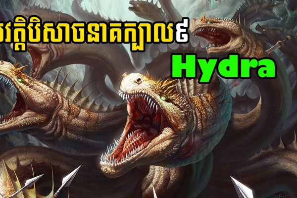 Kraken forum