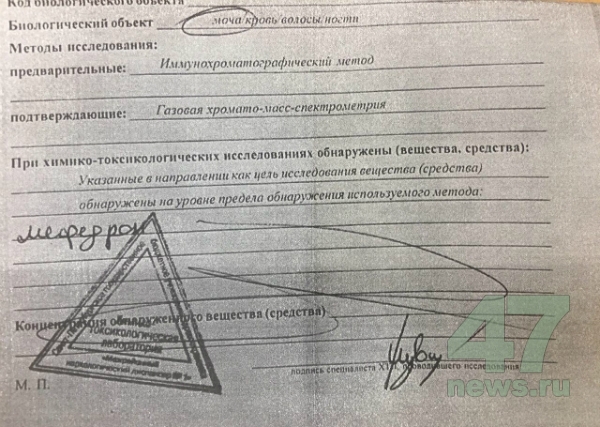 Клир ссылка на кракен 2025